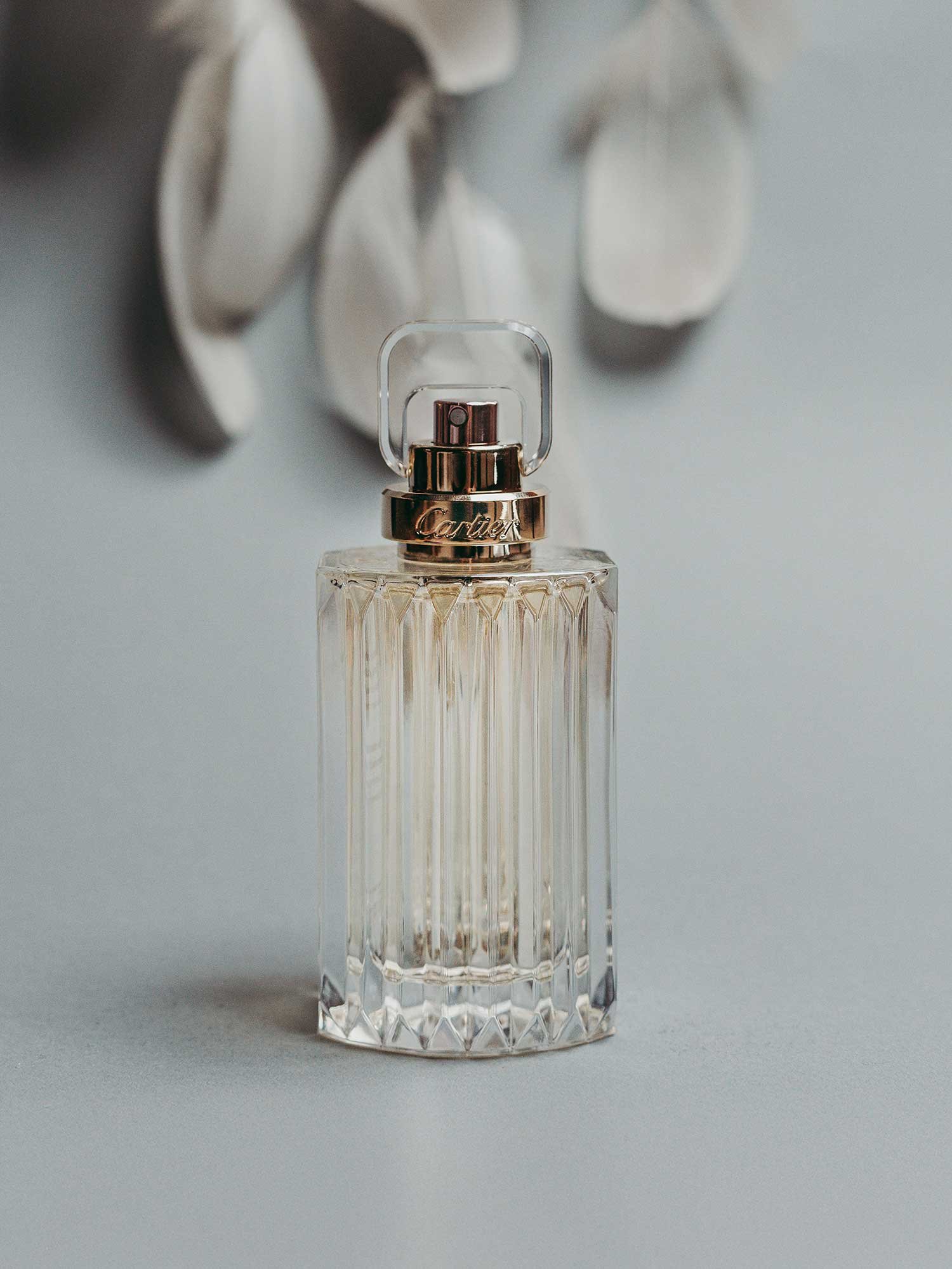 Signature Scent Curation